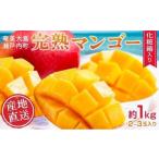 ふるさと納税 マンゴー 鹿児島県 瀬戸内町  2026年 先行予約 奄美完熟マンゴー 化粧箱 約1kg(2〜3玉入り) 農家直送 完熟マンゴー 化粧箱 果物 マンゴー くだも…