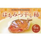果物類 柿 025-560 TV番組で紹介されました