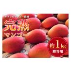 ショッピングふるさと納税 マンゴー ふるさと納税 マンゴー 沖縄県 糸満市  先行予約 2026年 発送 カネシロマンゴー農園 完熟マンゴー 贈答用 マンゴー 1kg 沖縄県産 マンゴー アップルマンゴー …