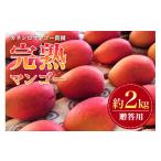 ショッピングふるさと納税 マンゴー ふるさと納税 マンゴー 沖縄県 糸満市  先行予約 2026年 発送 カネシロマンゴー農園 完熟マンゴー 贈答用 マンゴー 沖縄県産 マンゴー 2kg アップルマンゴー …