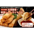 惣菜 レトルト 冷凍 あおき特製 冷凍春巻 野菜シューマイセ…