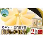饅頭 羊羹 大福 日向のかほり2個入り N0127-YA189