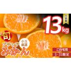 ふるさと納税 果物類 みかん 熊本県 和水町 先行予約 小玉みかん ご家庭用 プチレア 訳ありみかん 13kg | 熊本県 熊本 くまもと 和水町 なごみ ミカン 蜜柑 …