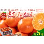 ふるさと納税 果物類 みかん 佐賀県 太良町 N-59 新宮みかん園 紅みかん 5kg みかん ミカン 蜜柑 柑橘 果物 フルーツ 人気 新鮮 先行予約 数量限定 温州みかん…