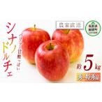 ふるさと納税 りんご 長野県 飯綱町 りんご シナノドルチェ 秀 〜 特秀 5kg 丸山功農園 沖縄県への配送不可 2025年9月上旬頃から2025年9月下旬頃まで順次発送…