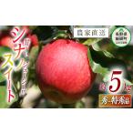 ふるさと納税 りんご 長野県 飯綱町 りんご シナノスイート 秀 〜 特秀 5kg 丸山功農園 沖縄県への配送不可 2025年10月上旬頃から2025年11月上旬頃まで順次発…