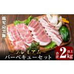 豚肉 セット B0-166 鹿児島黒豚プレミアムバーベキューセッ…