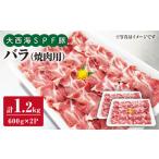 豚肉 バラ 大西海 SPF豚 焼肉 計1.2kg