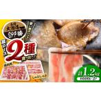 豚肉 しゃぶしゃぶ 豚 肩ロース 焼肉&しゃぶしゃぶ用 計1.2…