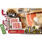 豚肉 ロース 大西海 SPF豚 背ロース しゃぶしゃぶ 計1.2kg