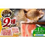 豚肉 しゃぶしゃぶ 6回定期便 豚 大西海 SPF豚