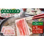 豚肉 ロース 月1回1.2kg×3回定期便