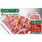 豚肉 ロース 月1回1.2kg×3回定期便
