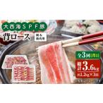 豚肉 ロース 月1回1.2kg×3回定期便