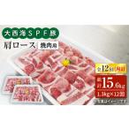 豚肉 ロース 月1回約1.2kg×12回定期便