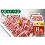 豚肉 ロース 月1回約1.2kg×12回定期便
