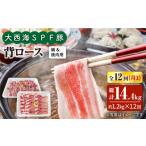 豚肉 ロース 月1回約1.2kg×12回定期便