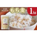 雑穀のびる村大麦 もち麦 1kg