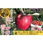 ふるさと納税 長野県 箕輪町 【2024年／令和6年度発送分！先行予約】りんご 訳あり 長野 あいかの香り 約 5kg フルーツ 果物 デザート おやつ リンゴ 林檎 あ…