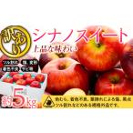 ふるさと納税 りんご 長野県 箕輪町 訳あり りんご シナノスイート 約5kg 2025年 令和7年度発送分 リンゴ 林檎 長野 フルーツ 果物 信州産 長野県産 特産 産…