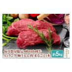 牛肉 ヒレ <<ふるさとチョイス
