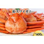 ふるさと納税 カニ ずわいガニ 富山県 射水市 紅ズワイガニ約600g 2025年9月中旬〜2026年3月下旬頃に順次発送予定
