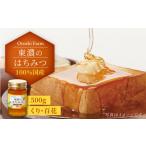 加工品等 はちみつ 東濃のはちみつ 500g