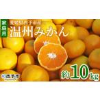 ふるさと納税 果物類 みかん 愛媛県 西予市  愛媛県西予市産 温州みかん 家庭用 約10kg 果物 くだもの ミカン 蜜柑 柑橘 フルーツ 訳あり ワケアリ 食べて応援…