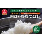 ふるさと納税 無洗米 