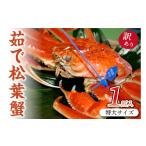 ふるさと納税 カニ 松葉ガニ 京都府 京丹後市 ボイル 松葉ガニ 姿／日本海産　ブランド蟹　 茹で松葉蟹 訳あり 特大サイズ　matubakani1000　茹で松葉ガニ・ボ…