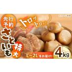 人参 大根 他根菜 里芋 トロトロ さといも 4kg