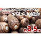 人参 大根 他根菜 ほっくり美味しい 化学合成農薬等不使用…