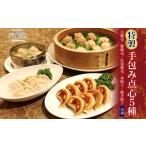 惣菜 レトルト 冷凍 天廣堂 特製手包み点心5種セット