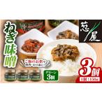 缶詰 瓶詰 野菜類 ねぎ味噌 グリーン×3個
