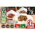 缶詰 瓶詰 野菜類 ねぎ味噌 グリーン×1個