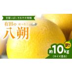 ふるさと納税 みかん・柑橘類 和歌山県 湯浅町 ZD6308n_ 2027年先行予約 手選果 有田産の 八朔 訳あり 家庭用 10kg (サイズ混合)