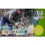 fu.... налог овощи вид лук порей Gunma префектура внизу . рисовое поле блок вызывающий чувство гордости внизу . рисовое поле .(L 15шт.@)...... лук порей лук-батун король лук порей dono sama лук порей Special производство питание вдоволь бренд сверху . лук порей .....