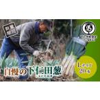 fu.... налог овощи вид лук порей Gunma префектура внизу . рисовое поле блок вызывающий чувство гордости внизу . рисовое поле .(L 20шт.@)...... лук порей лук-батун король лук порей dono sama лук порей Special производство питание вдоволь бренд сверху . лук порей .....