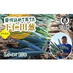 fu.... налог овощи вид лук порей Gunma префектура внизу . рисовое поле блок love . включено ..... внизу . рисовое поле .(L 15шт.@)...... лук порей лук-батун король лук порей dono sama лук порей Special производство питание вдоволь бренд сверху...