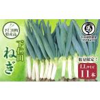 fu.... налог овощи вид лук порей Gunma префектура внизу . рисовое поле блок внизу . рисовое поле блок Special производство [ внизу . рисовое поле лук порей ]LL размер 1 1 шт. маленький коробка ...... лук порей лук-батун король лук порей Special производство питание вдоволь бренд сверху...