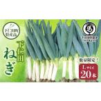 fu.... налог овощи вид лук порей Gunma префектура внизу . рисовое поле блок внизу . рисовое поле блок Special производство [ внизу . рисовое поле лук порей ]L размер 20шт.@ большой коробка ...... лук порей лук-батун король лук порей Special производство питание вдоволь бренд сверху...