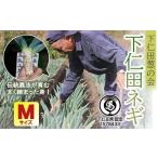 野菜類 ねぎ 下仁田葱の会の下仁田葱 とろける