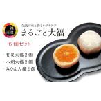 一福百果柑橘大福食べ比べ6個入