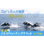 体験チケット 室蘭 イルカウォッチングチケット