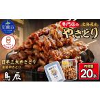 豚肉 室蘭やきとり鳥辰本店 豚精肉串20本