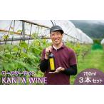 ふるさと納税 ワイン 赤ワイン 岩手県 花巻市 ロースラー ワイン KANTA WINE 2024(赤) 750ml × 3本 セット 968