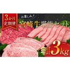 ふるさと納税 牛肉 セット 宮崎県 日南市 3か月 お楽しみ 定期便 宮崎牛 堪能 セット 合計3kg 牛肉 黒毛和牛 国産 ブランド牛 ミヤチク 肩ロース モモ ステー…