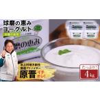 菓子 ヨーグルト 球磨の恵み 砂糖不使用 4kg