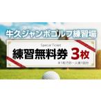 体験チケット 牛久ジャンボゴルフ練習場練習無料券