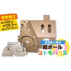 玩具 ダンボールコドモハウス 1302541